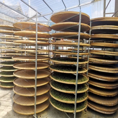 箕置青晾用品晾青筛茶架茶凉架摊放青架y竹竹晒具制竹簸制竹架叶