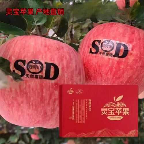 河南灵宝寺河山SOD苹果