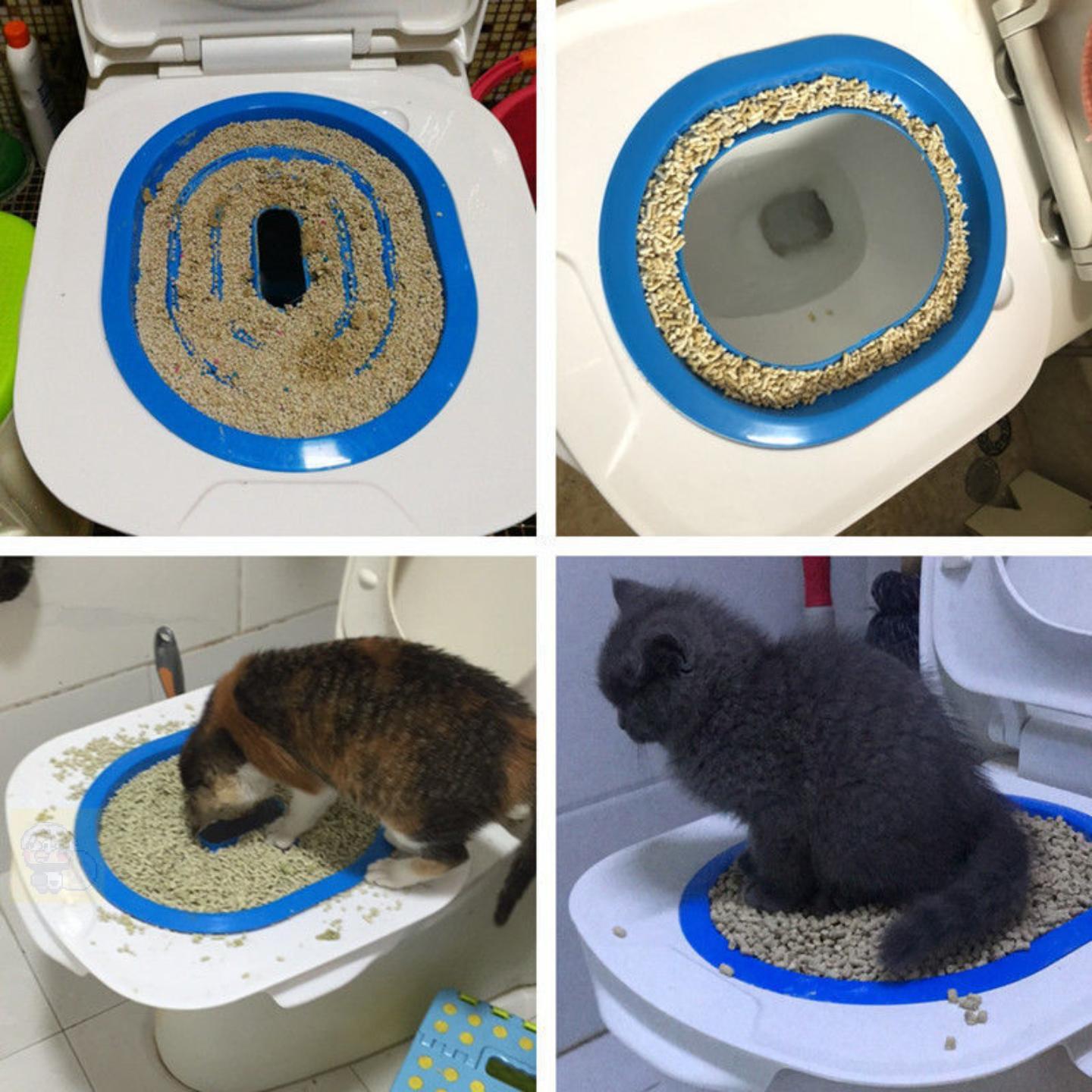 猫马桶训练器猫厕所训练器猫马桶猫咪座便器所垫猫砂盘坐便训练器