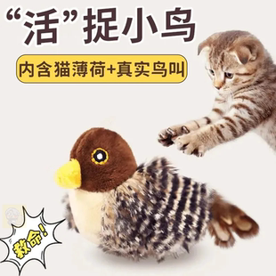 猫玩具会飞的鸟猫咪玩具触动感应发声逗猫棒毛绒仿真小鸟刺猬水豚