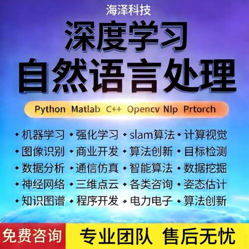 python深度学习强化学习机器学习代编程序开发医疗图像神经网络