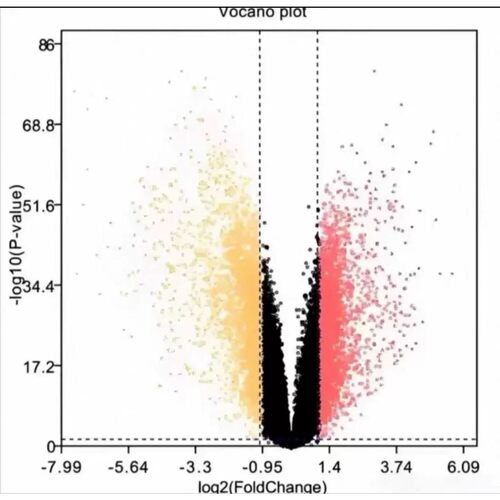 代做生信分析单细胞测序转录组网络药理靶基因预测分子对接