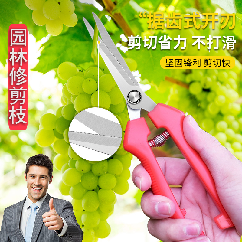 园林修枝剪刀锯齿开刃助力回弹