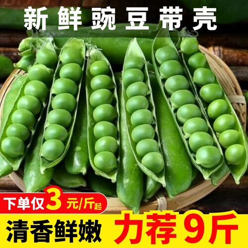 甜豌豆荚质量怎么样 甜豌豆荚口碑怎么样 小麦优选