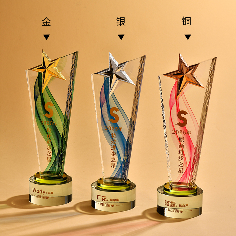 企业年会水晶奖杯定制 嘉奖纪念创意五角星造型 8x28cm人造水晶