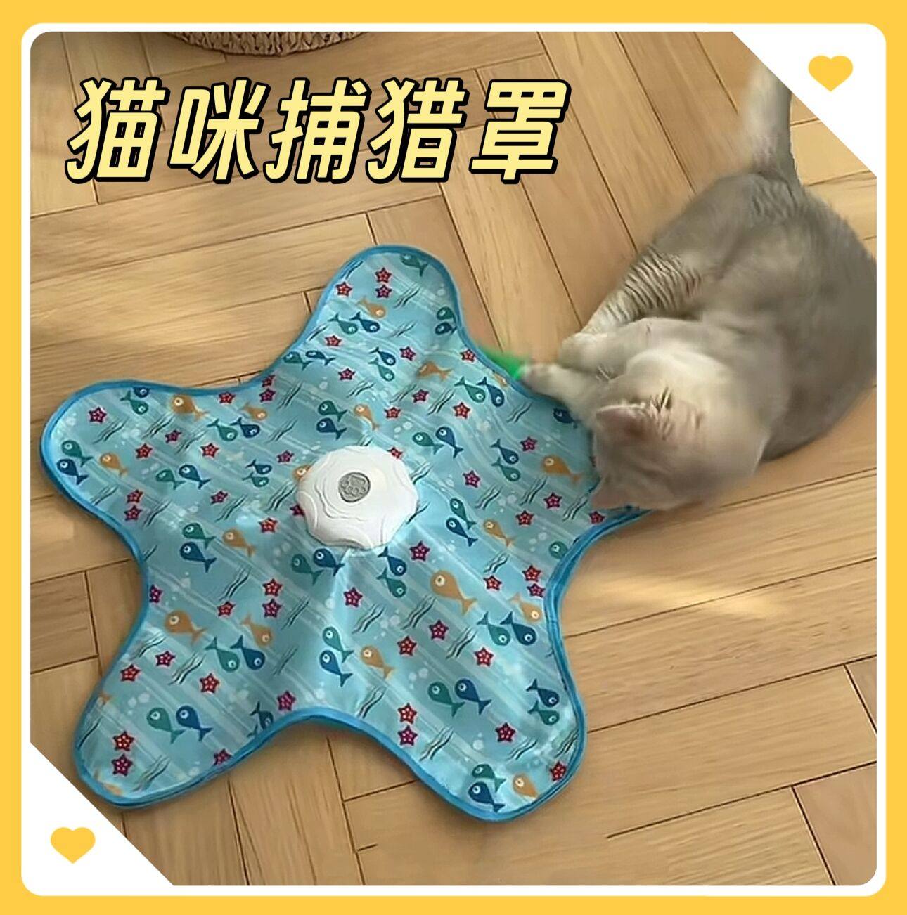 电动猫咪玩具捕猎罩互动训练器转盘智能自动启停宠物自嗨解闷神器,宠物/宠物食品及用品,宠物智能玩具,淘宝优惠券,粉丝福利购,淘宝优惠卷