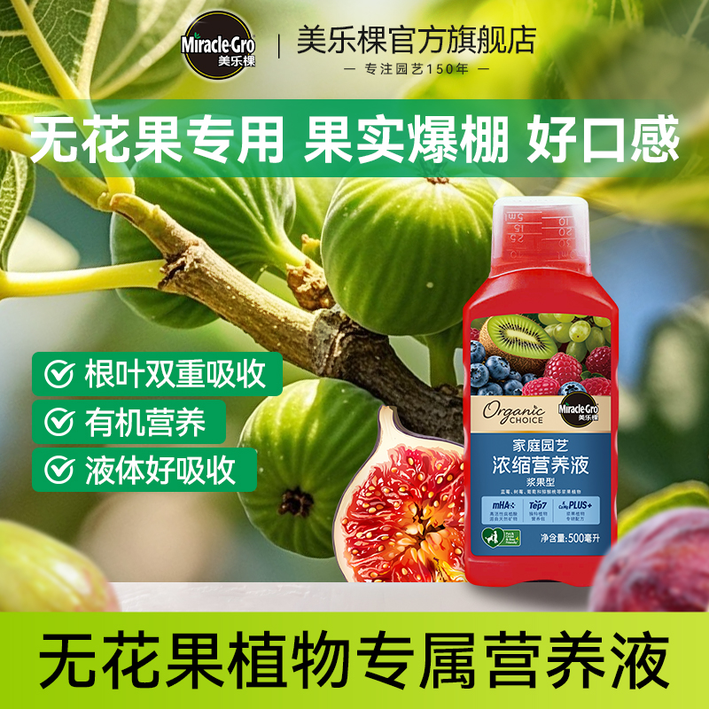 ޻רáӪҺ500ml ֿ޻ר÷ӪҺ32Ԫ