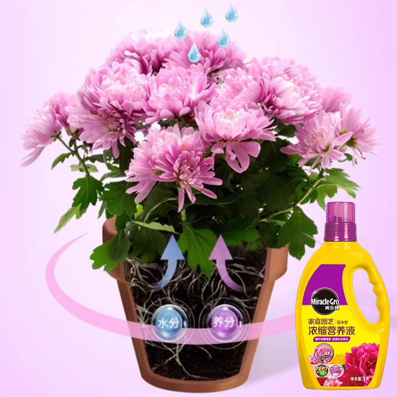 美乐棵水溶肥专用营养液