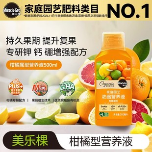 美乐棵金桔专用肥料橘子树营养液室内盆栽种植金桔树专用肥叶面肥