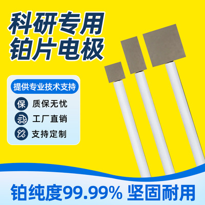铂片电极 铂电极10*10*0.1 对电极纯度99.99 可开票 PT片四氟杆子
