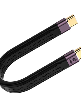 TYPE C 24pin全功能40GB双公头FPC互转 长度10/13.8/22CM