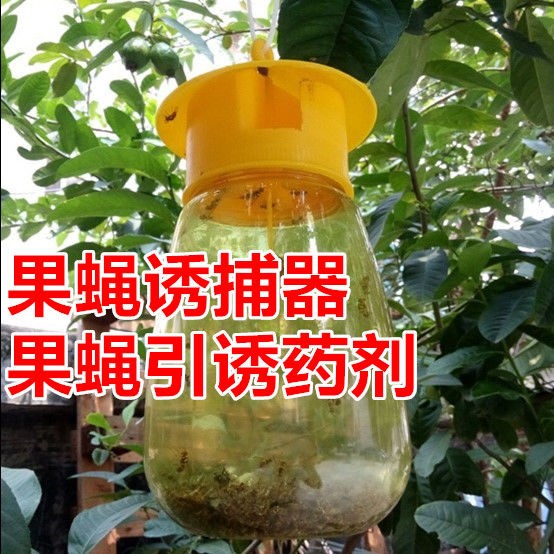 果蝇诱捕器果园菜地瓜果实蝇针蜂引诱剂强力内含捕抓器诱杀剂药剂