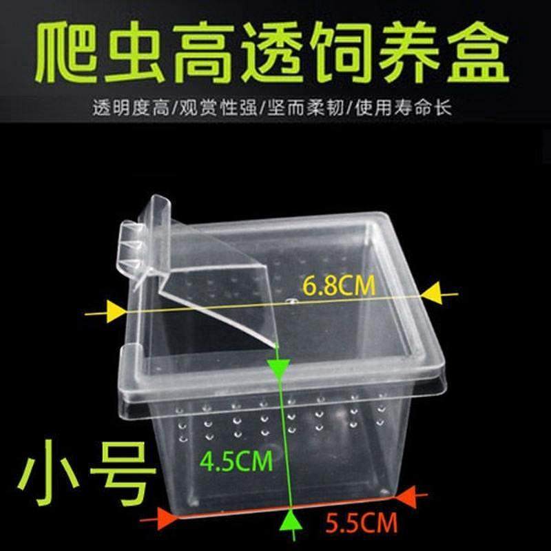 蚕宝宝学生养蚕套装观察盒儿童别墅屋学生养蚕日记盒子透明饲养箱
