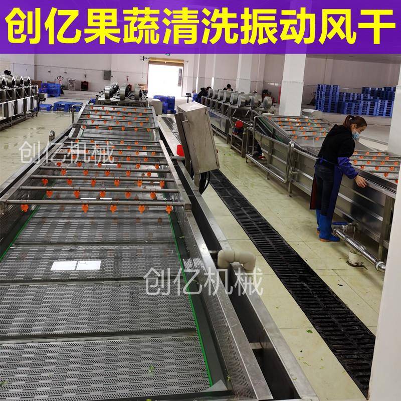 梨气泡喷淋清洗流水线 洗果机 沙果梅子清洗机小本创业