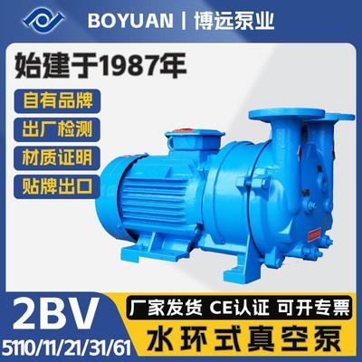 博远泵业2BV水环真空泵5110/11/21/31/61铸铁304水循环高效节能