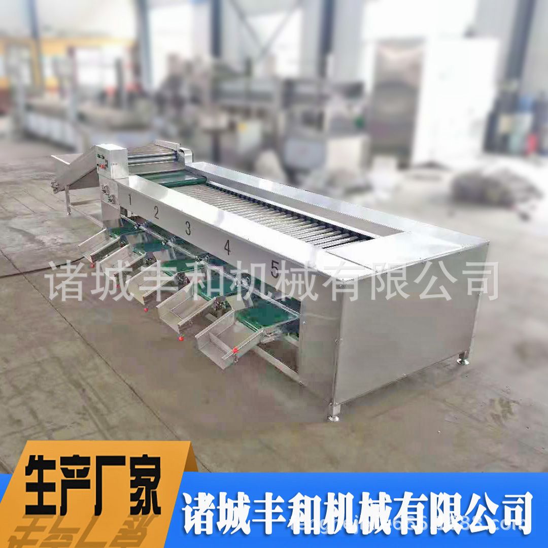 番薯红薯分级机 农产品清洗风干分级成套设备厂家直供 土豆分级机