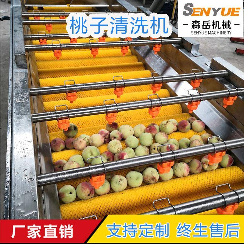 全自动杏子洗果机果蔬气泡毛刷清洗机流水线商用桃子毛辊清洗机