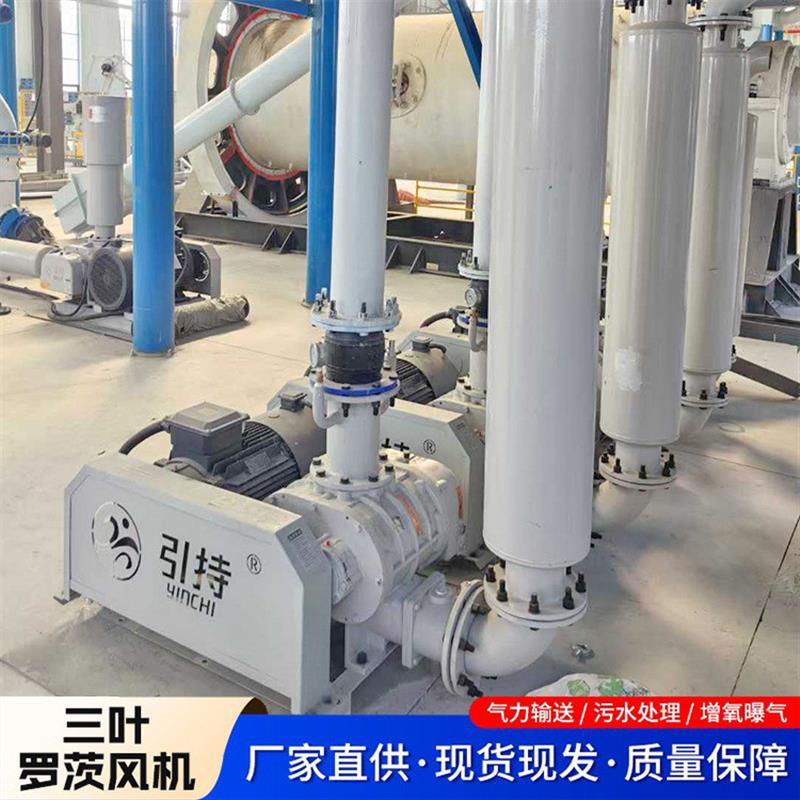 罗茨风机高压曝气风机水产增氧气体气力输送设备三叶罗茨鼓风机