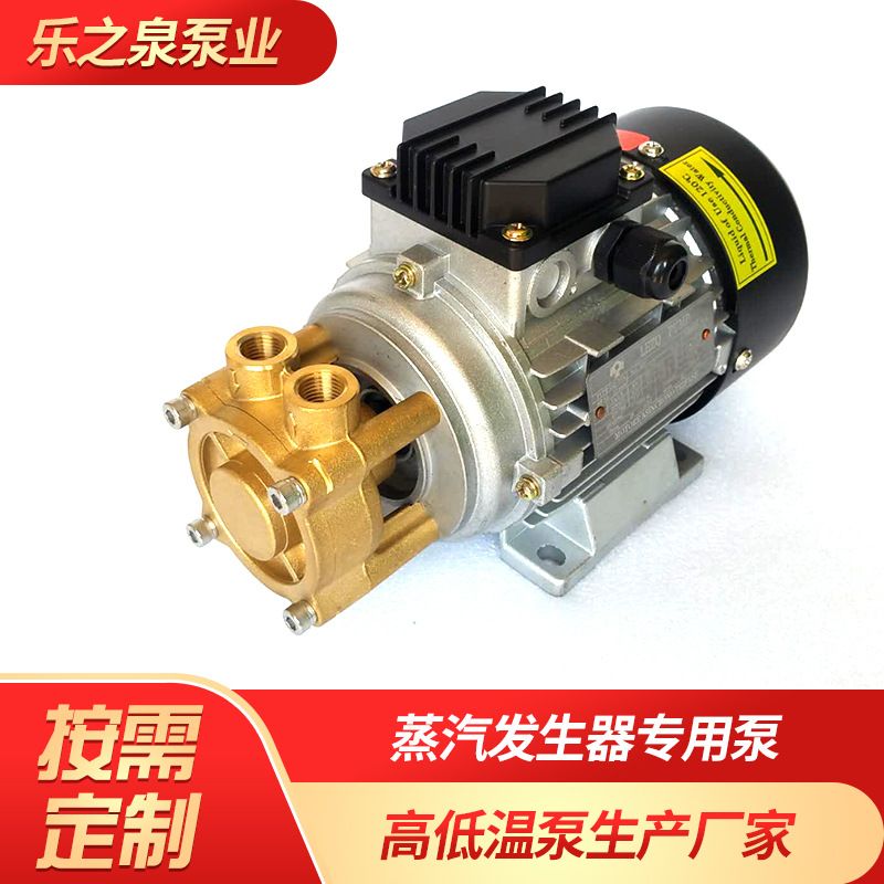 小型蒸汽发生器用水泵电蒸汽发生器高温热水泵蒸汽机循环泵