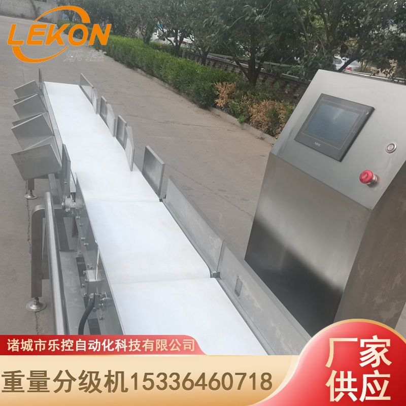 大鹅重量分拣机 皮带传送运行稳定 大鲅鱼大黄鱼皮带式称重分选机