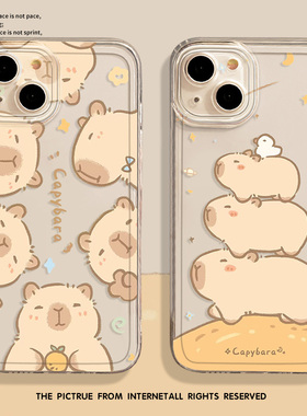 橘子卡皮巴拉手机壳适用真我GTneo5se水豚7/GT6透明realme12pro+可爱2创意v60s趣味11/10情侣q3s男25女23套15