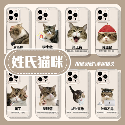 姓氏猫咪打工人手机壳适用于华为