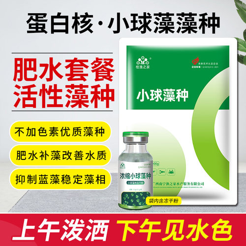 小球藻藻种土塘肥水补藻