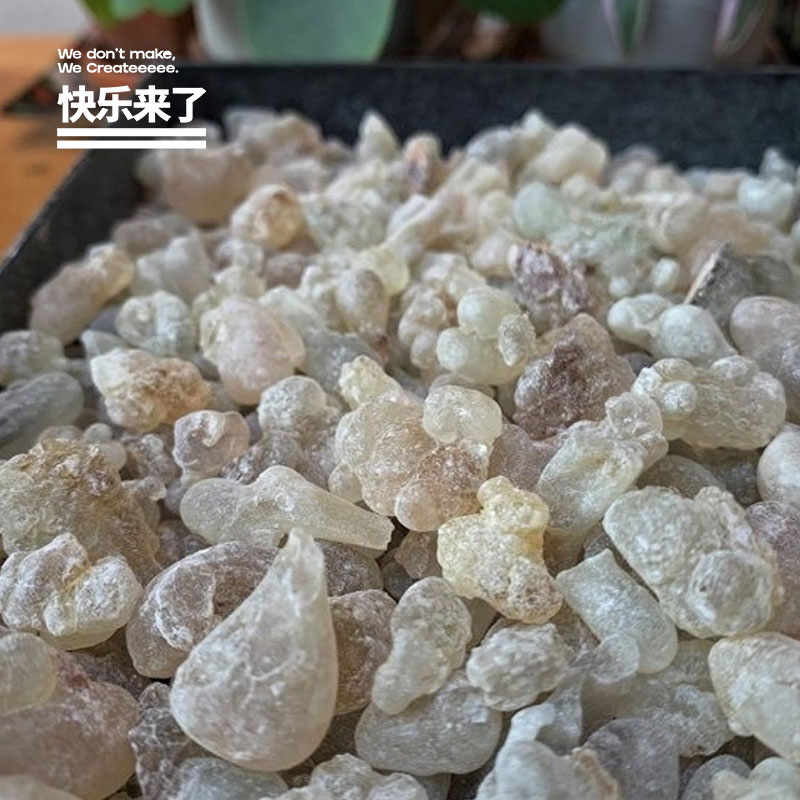 净化舒缓焚熏阿曼白乳香抗惊悸