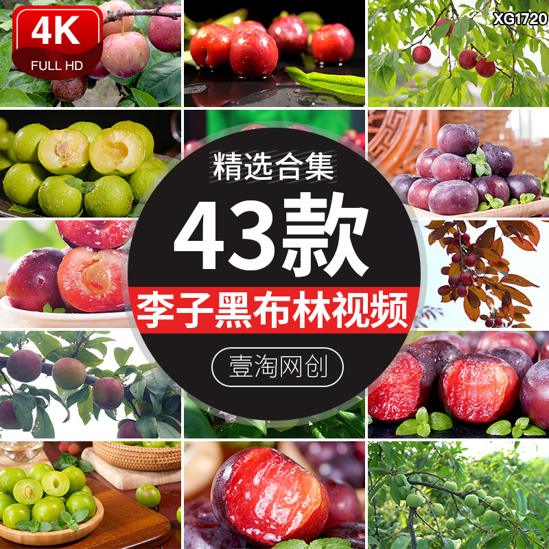 李子水果青李子青脆红肉黑布林果园果树成熟李子采摘实拍视频素材