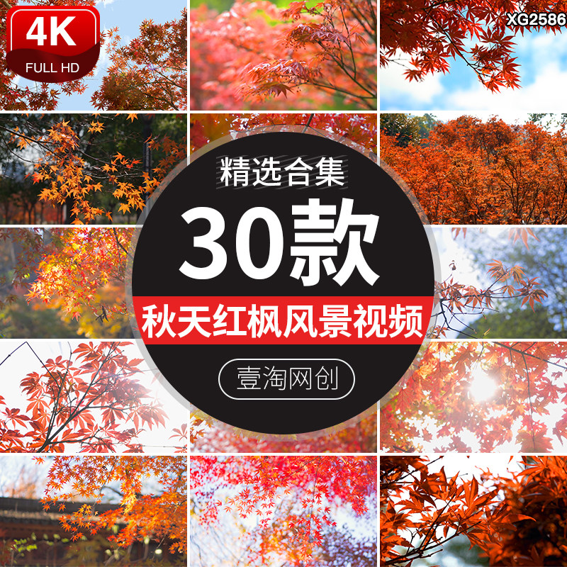 4K秋季自然风景枫叶唯美秋景红枫意境空镜头秋天实拍高清视频素材