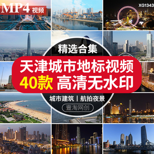 天津海河航拍城市夜景之眼摩天轮世纪钟天塔延时风景风光视频素材