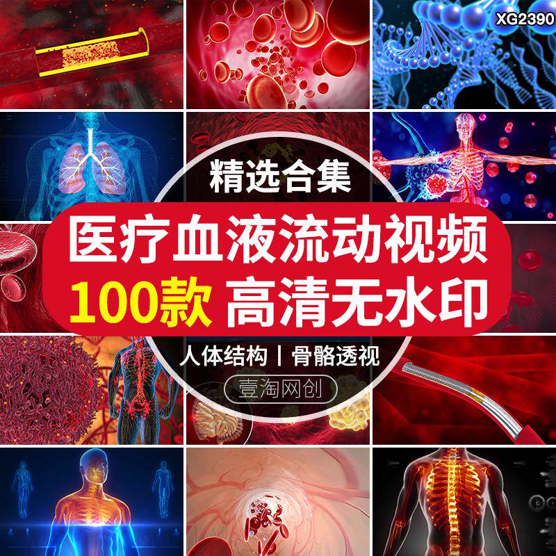 医疗血液流动血管细胞人体结构透视骨骼医学三维动画演示视频素材