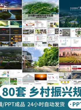 美丽乡村振兴旅游建设智慧农业产品农村项目策划方案PPT成品模板