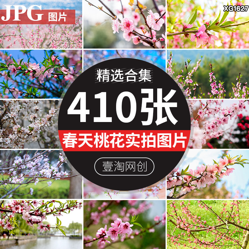 春天桃花花瓣花卉花朵盛开植物春意春暖花开春季鲜花高清图片素材