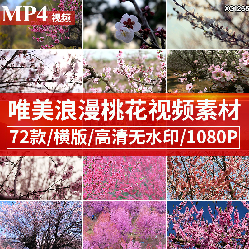 唯美浪漫桃花发芽春天春暖花开阳光明媚高清自媒体短视频剪辑素材