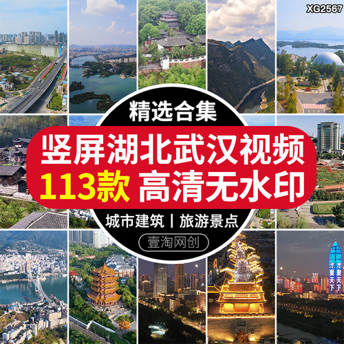 竖屏湖北武汉城市建筑风光长江大桥黄鹤楼旅游风景点航拍视频素材