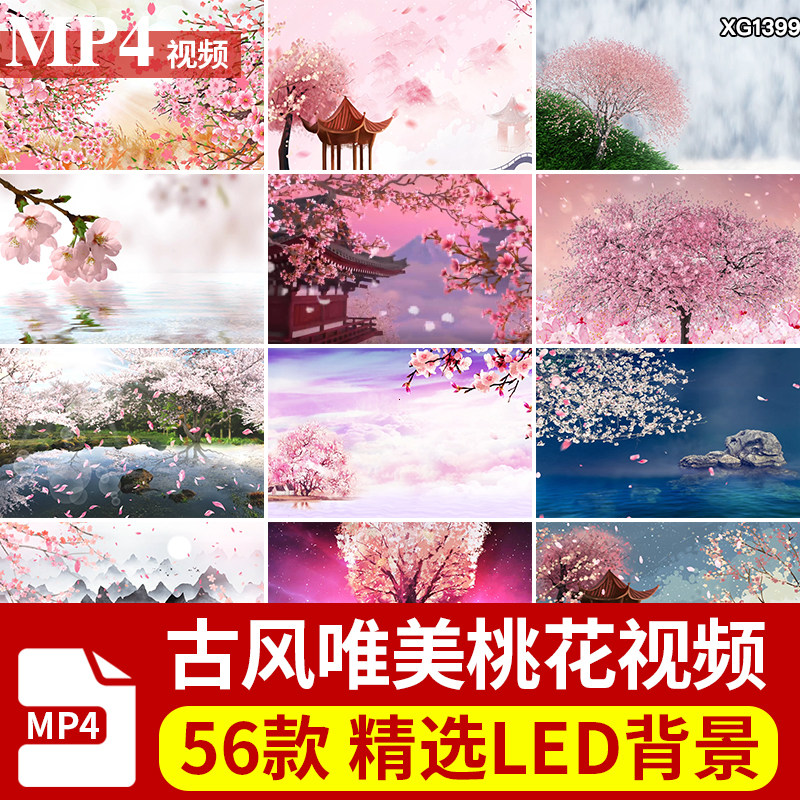 唯美春天粉色桃花树林花瓣飘落中国风古典桃树大屏幕LED视频素材