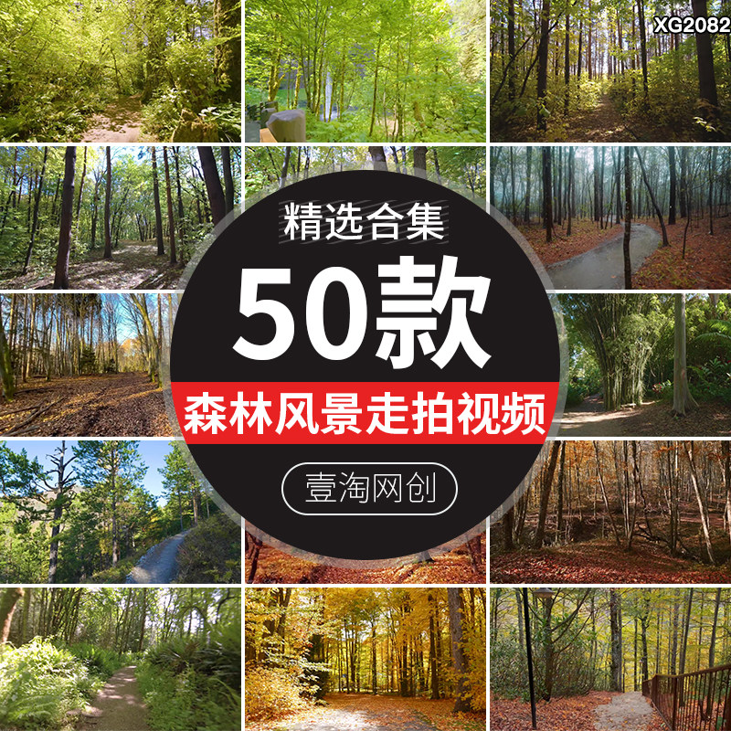 大自然原始森林漫步走拍走路行走视角风景树林树木山林长视频素材