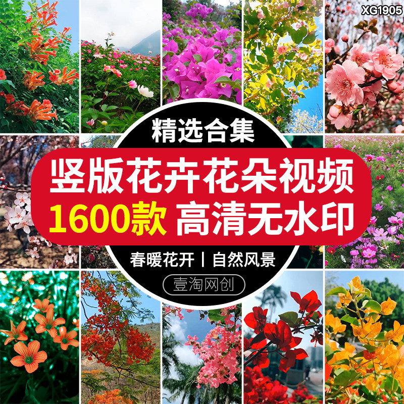竖屏春天桃花盛开鲜花朵花卉春暖花开抖音自然风景高清短视频素材
