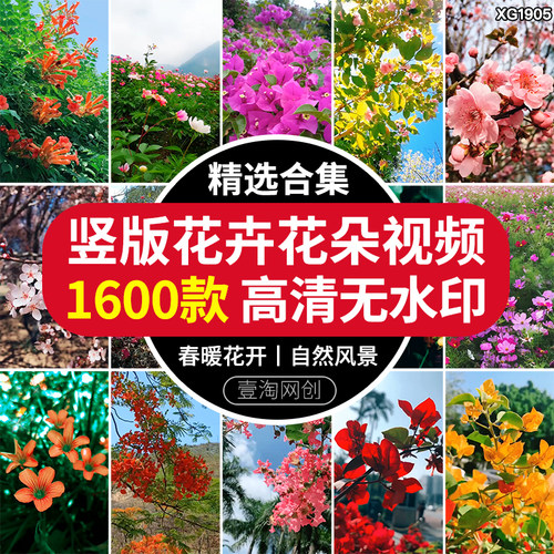 竖屏春天桃花盛开鲜花朵花卉春暖花开抖音自然风景高清短视频素材