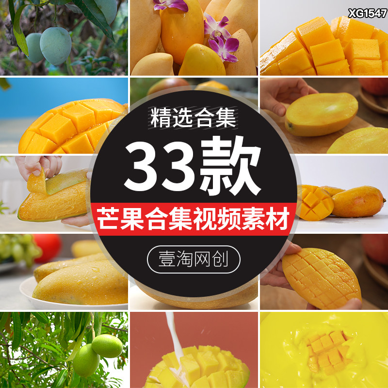 新鲜芒果树热带水果果汁特写种植园果实有机农业高清实拍视频素材