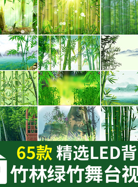 竹子雨竹林绿竹中国风古风水墨山水苗族山歌民歌LED视频背景素材