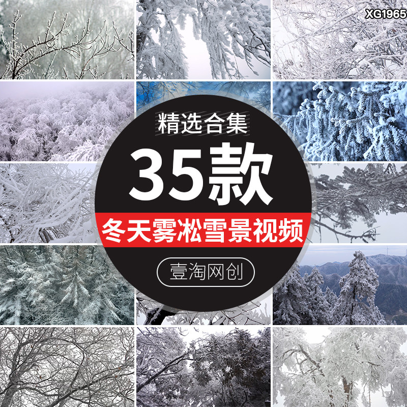 冬季雾凇美景冬天树枝雪松积雪特写雪景冬日冰天雪地剪辑视频素材