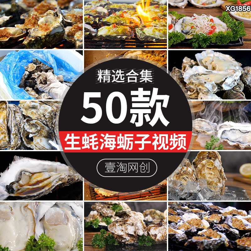 夜宵生活炭烤生蚝蒜蓉新鲜海鲜美食烧烤海蛎子牡蛎实拍短视频素材