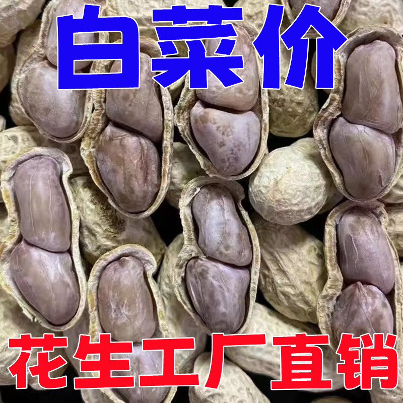 水煮花生龙岩花生新鲜水煮花生正宗咸香花生带壳晒花生袋装非白晒