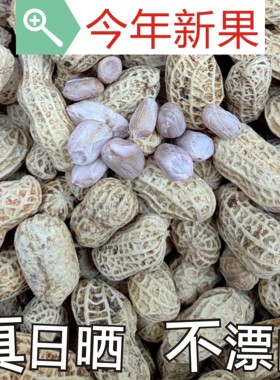 新货龙岩特产水煮白晒咸干湿烤带壳花生蒜香五香咸干原味花生米