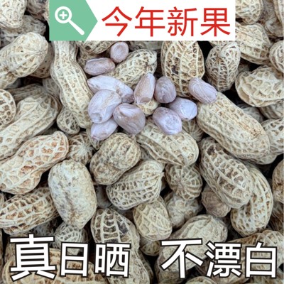 新货龙岩特产水煮白晒咸干湿烤带壳花生蒜香五香咸干原味花生米