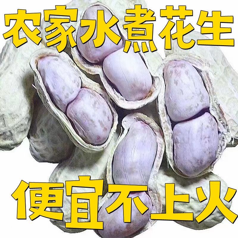龙岩五香卤味花生开袋即食大颗粒真空包装美味解馋下酒菜新非白晒