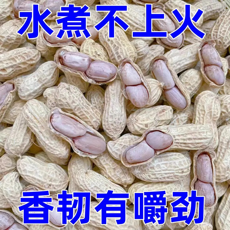 龙岩花生卤煮花生带壳蒜香五香原味盐水水煮花生米熟炒货零食真空