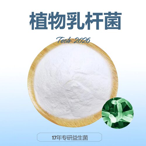 益生菌冻干粉植物乳杆菌